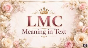 LMC Meaning in Text