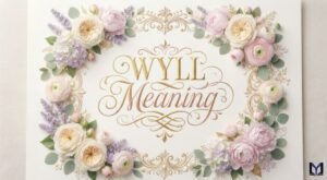 WYLL Meaning