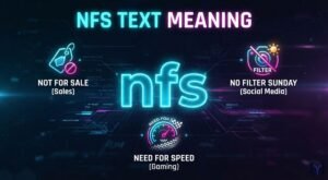 nfs text meaning