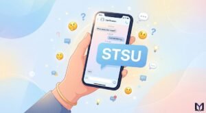 STSU Meaning