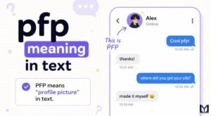 PFP Meaning in Text