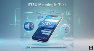 STSU Meaning in Text