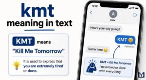 KMT Meaning in Text