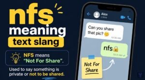 NFS Meaning Text Slang