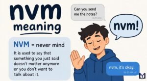 NVM Meaning