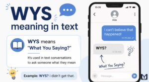 WYS Meaning in Text